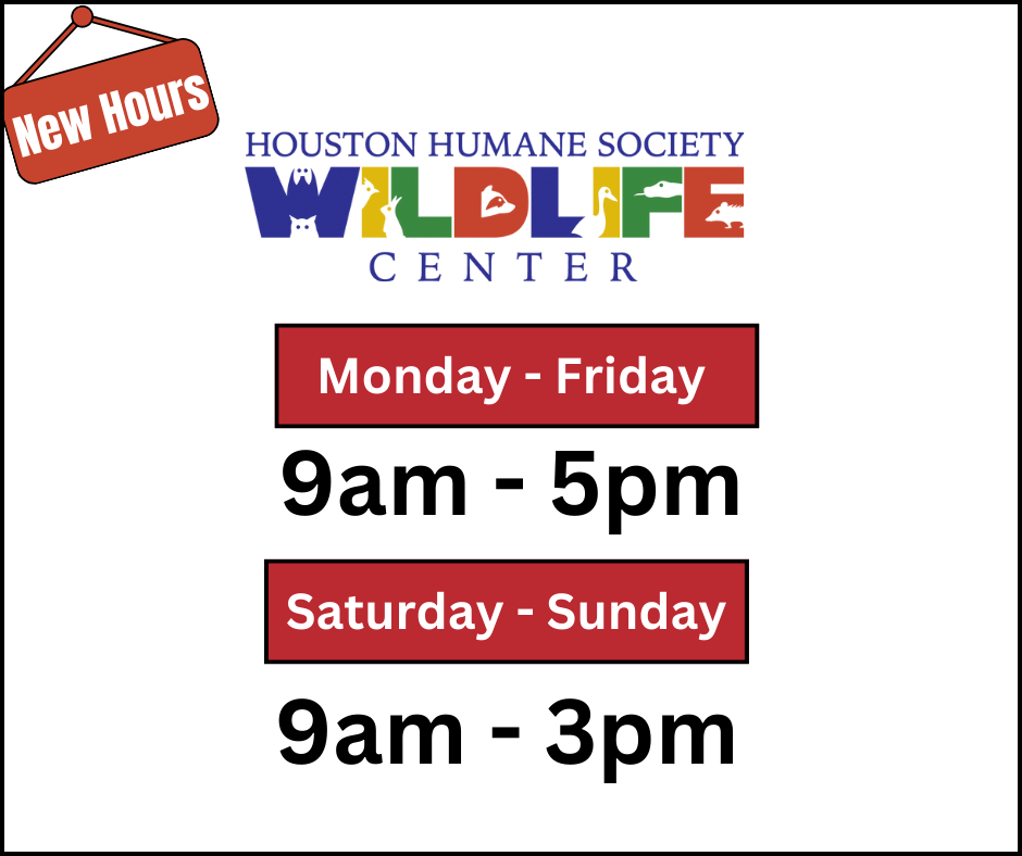 HHS Wildlife Center Hours of Operation M-F: 9a-5p & Sat. & Sun. 9am - 3pm