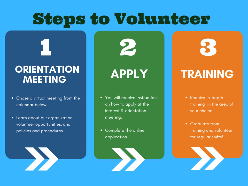 Steps to volunteer Flow Chart