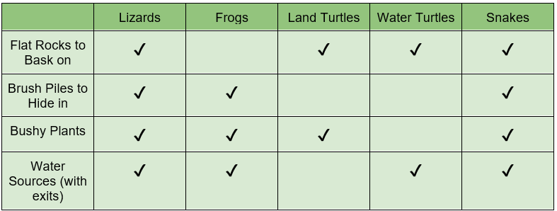 Lizards, Frogs, Land Turtles, Water Turtles, and Snakes Chart